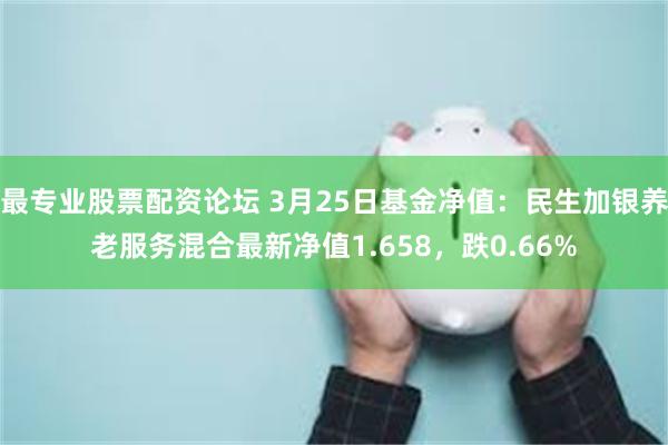 最专业股票配资论坛 3月25日基金净值：民生加银养老服务混合最新净值1.658，跌0.66%