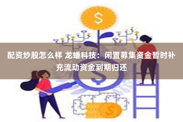 配资炒股怎么样 龙蟠科技：闲置募集资金暂时补充流动资金到期归还
