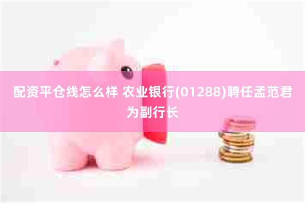 配资平仓线怎么样 农业银行(01288)聘任孟范君为副行长