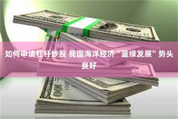 如何申请杠杆炒股 我国海洋经济“蓝绿发展”势头良好
