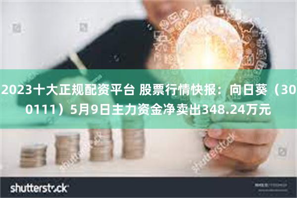 2023十大正规配资平台 股票行情快报：向日葵（300111）5月9日主力资金净卖出348.24万元