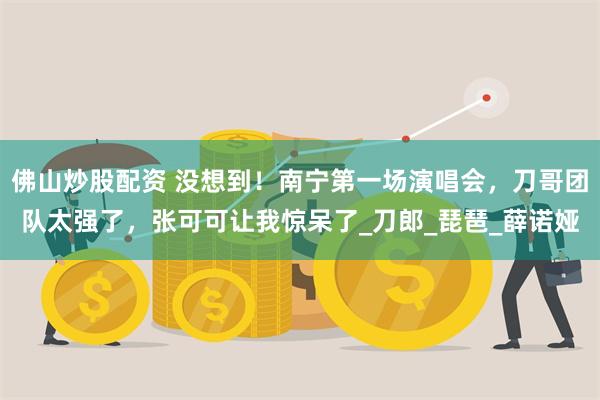 佛山炒股配资 没想到！南宁第一场演唱会，刀哥团队太强了，张可可让我惊呆了_刀郎_琵琶_薛诺娅