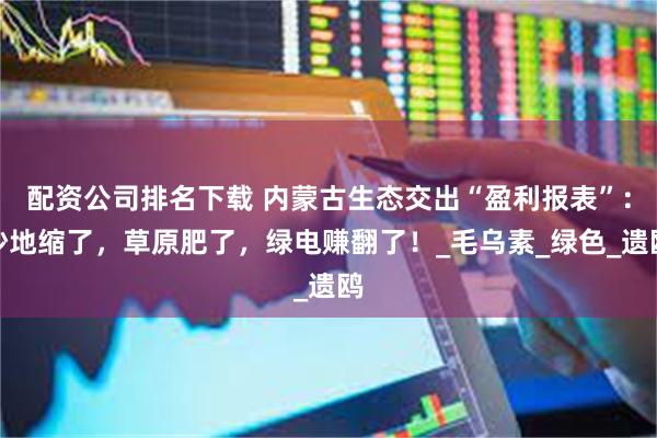 配资公司排名下载 内蒙古生态交出“盈利报表”：沙地缩了，草原肥了，绿电赚翻了！_毛乌素_绿色_遗鸥